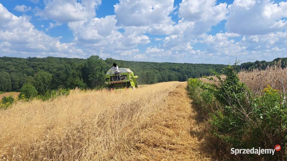 CLAAS Dominator 38! kombajn ZBOŻOWY