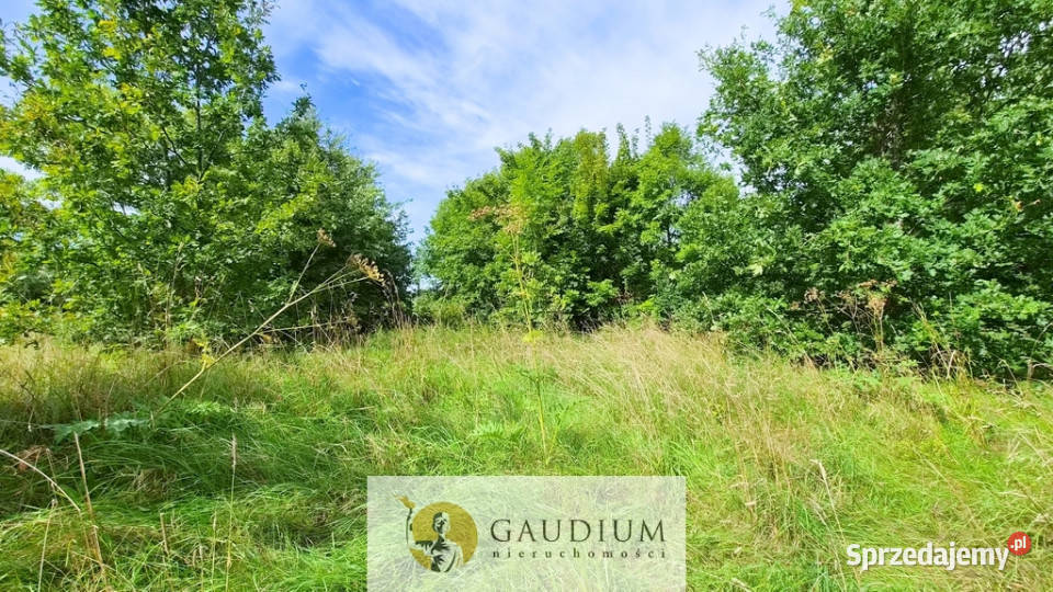 W zaciszu drzew działka z WZ Warmia Lubianka asfalt Sprzedaż sprzedam