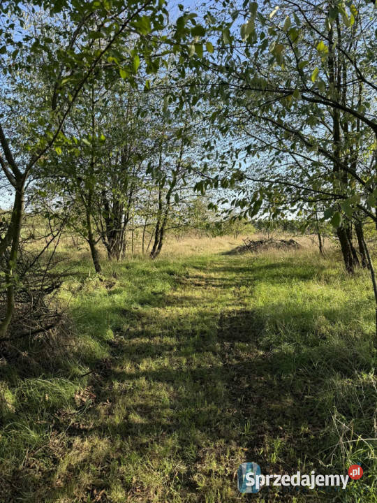 sprzedaży domu wolnostojącego 59m2 Sobienie sprzedam