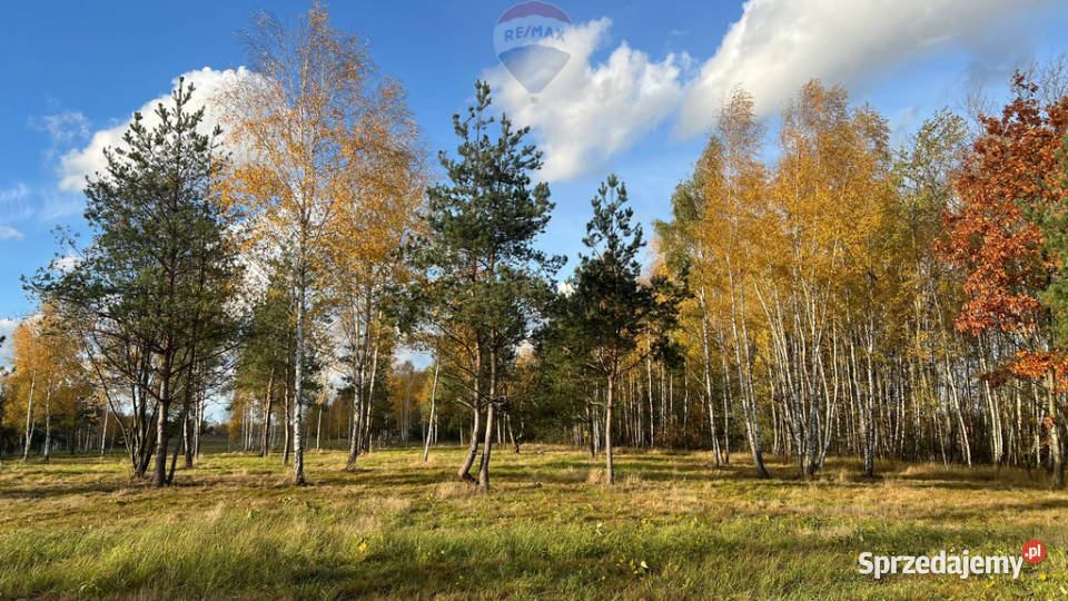 Działka budowlana 6022 Józefów gmina Pniewy