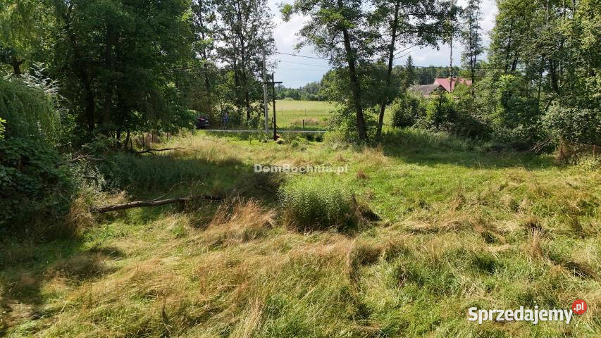 Działka Buczków 1700m2