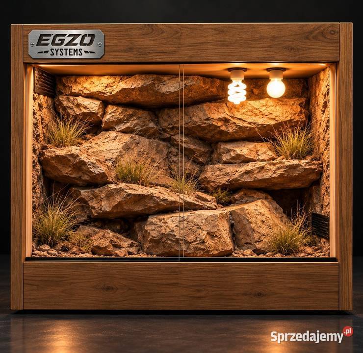 Terrarium hodowlane żółwia greckiego agamy wielkopolskie Kalisz