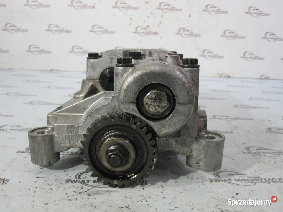 Hyundai Santa Fe 22 CRDI 150 D4EB wałki świętokrzyskie