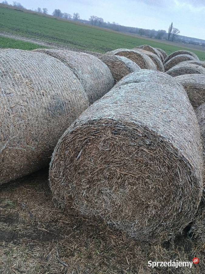 Słoma na sprzedaż