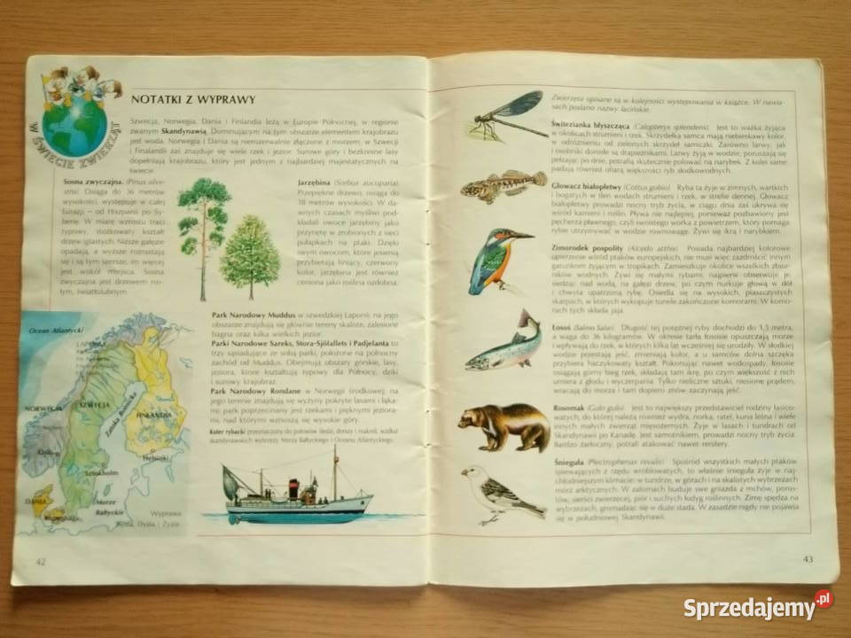 Wyprawa łososiowym szlakiem Kaczor Donald 1993r ISBN 8385319069 Dąbrowa Górnicza