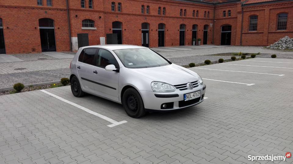 Volkswagen Golf vw Golf v 2004 1 9 tdi bkc Golf Golf Łęgajny