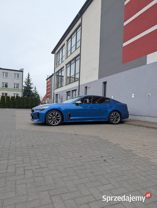 Kia Stinger 20 TGDI GT Line mazowieckie Ostrołęka
