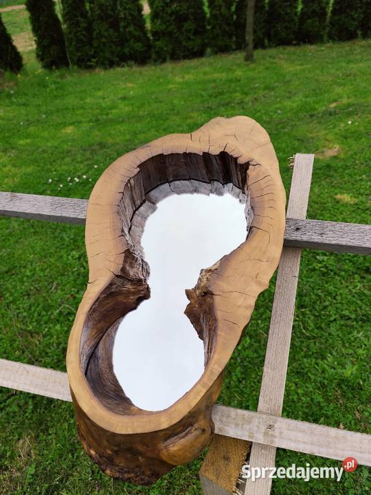 Lustro w pniu drzewa małopolskie Limanowa