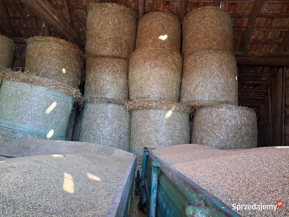 Słomę sprzedam Łukowica