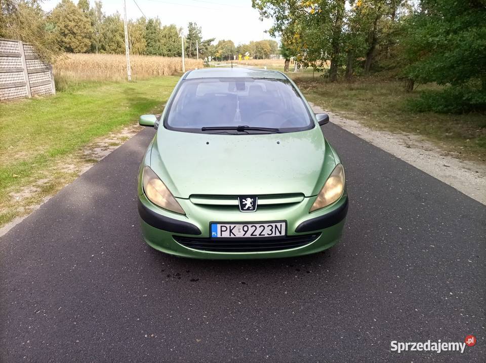 Peugeot 307 20 HDi Hak łódzkie Wieruszów
