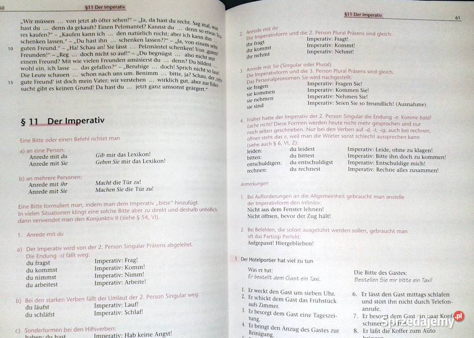 Lehr- Und Übungsbuch Der Deutschen Grammatik -Dreyer,Schmitt Chełm ...