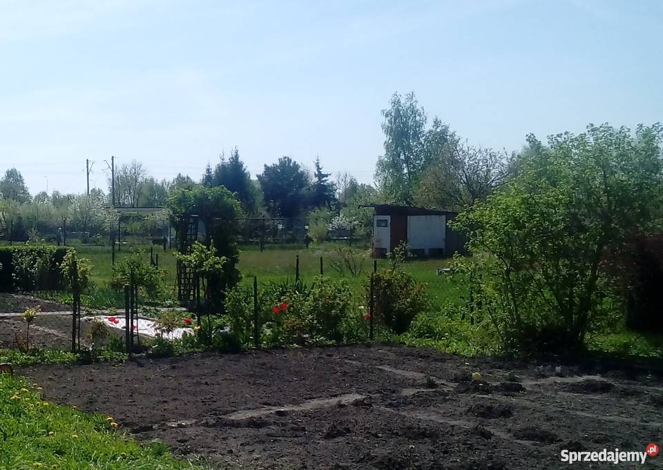 Do sprzedania działka rekreacyjna ROD ZAGRODA 300m2 dolnośląskie Wrocław sprzedam