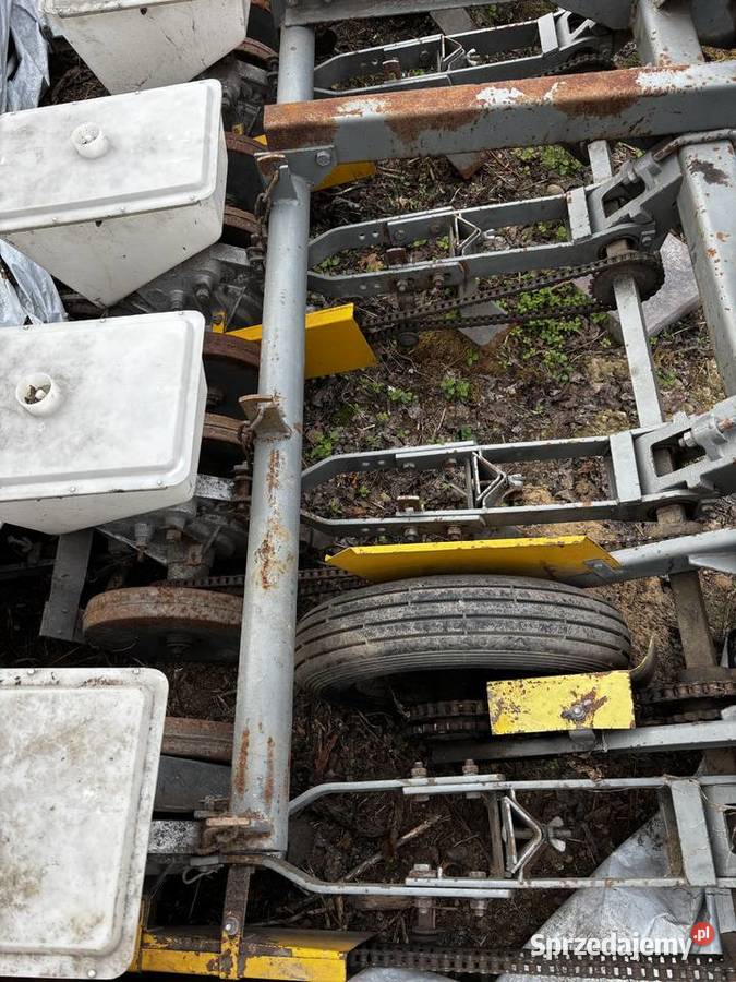 Siewnik do buraków Gamma Czermin sprzedam