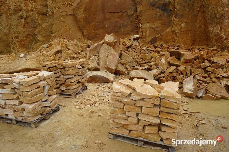 Dzikówka ogrodowa kamień na skalniak skarpy Dom i Ogród Wielgomłyny