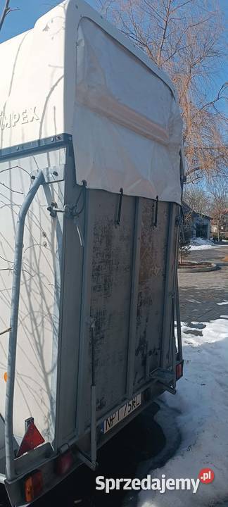 Przyczepka do koni 910 Orzysz