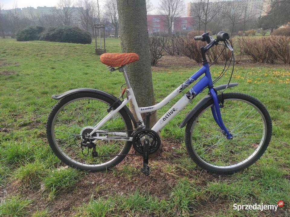 Rower miejski damka Active Leader koła 26 Wrocław