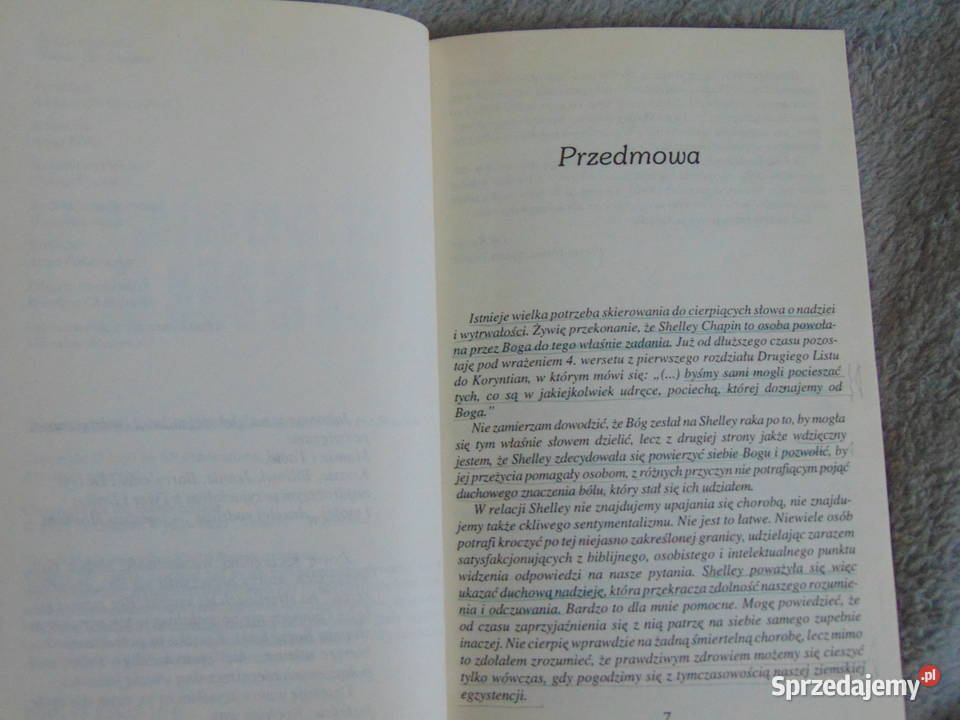 W dolinie cienia Shelley Chapin Lublin