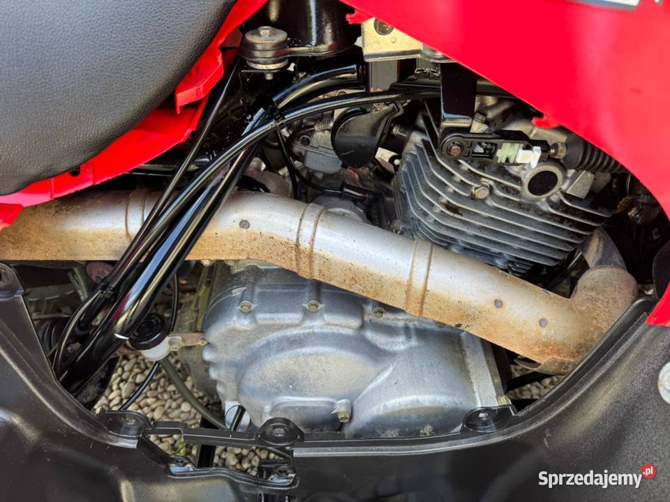 Suzuki Eiger 400 4x4 L7e 149kW HakTRANSPORT quad - ATV