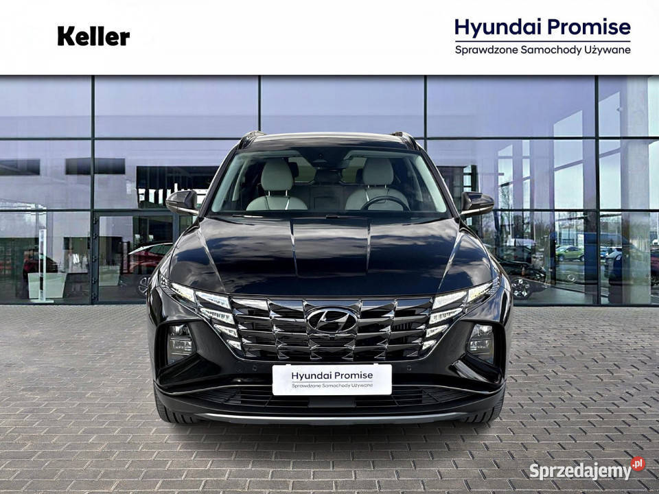 16 HEV 230 Platinum FV23 Dealer Hyundai Keller Gliwice