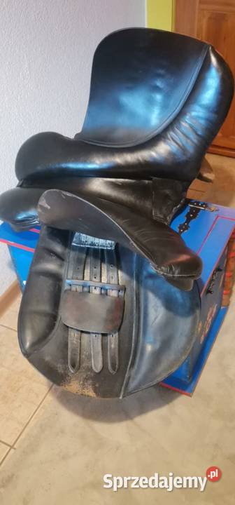 Siodło do jazdy konnej Dla koni