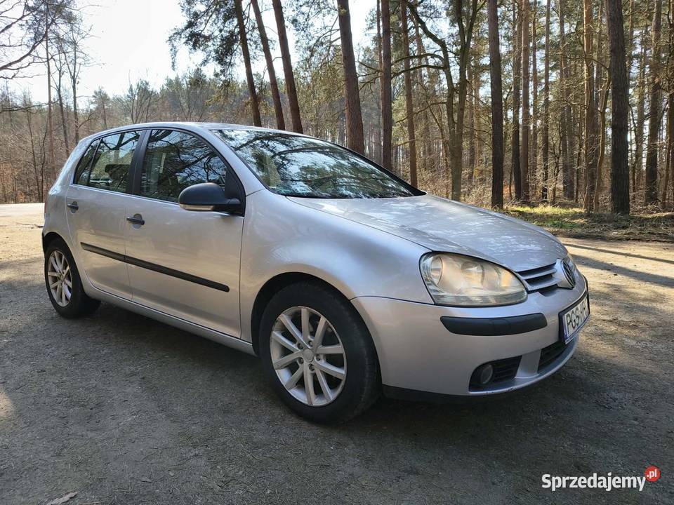 Volkswagen Golf V 2006 105KM Czerna
