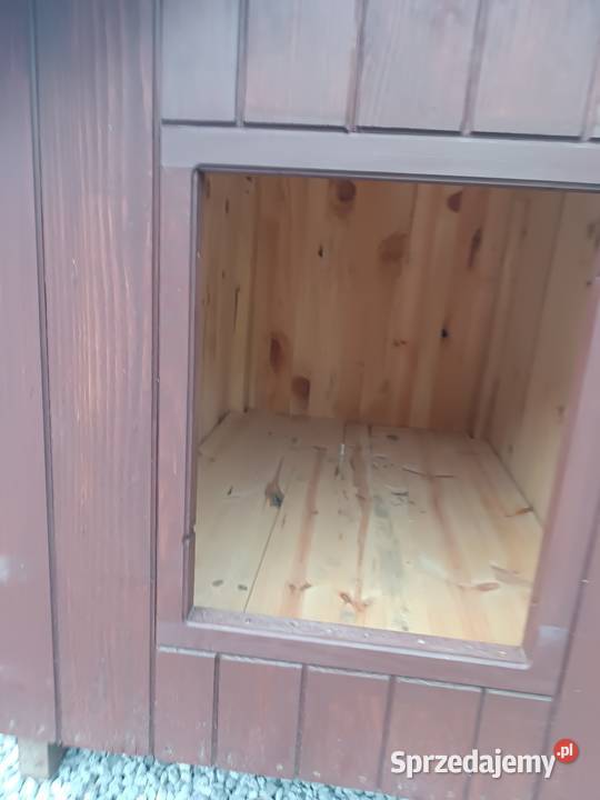 Buda psa Bodaczów sprzedam