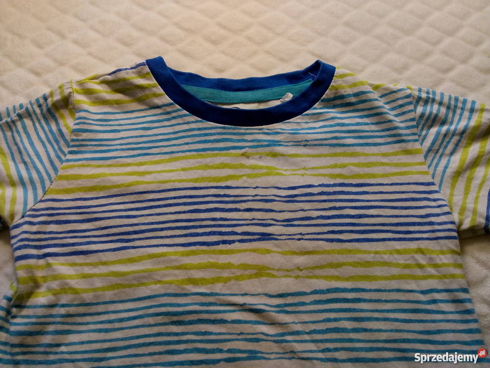 Bluzka chłopięca krótki rękaw Cool Club 92 Rogoźnik