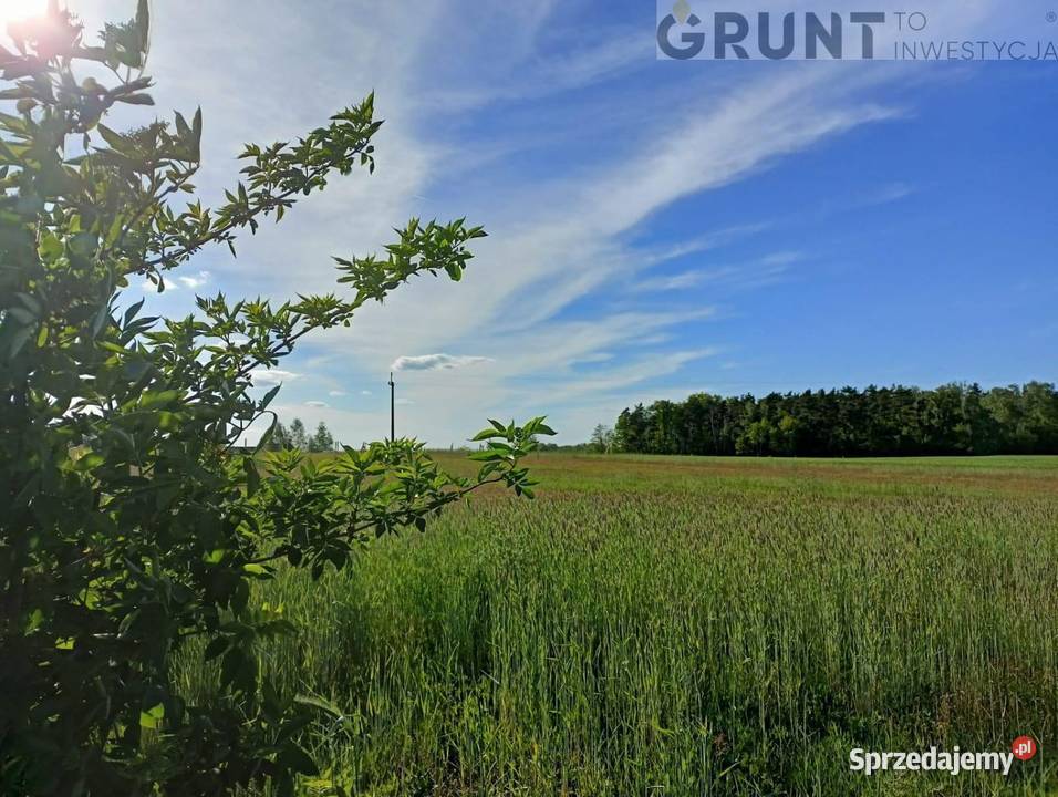 Działki budowlane ostatnia okazja Czachowo