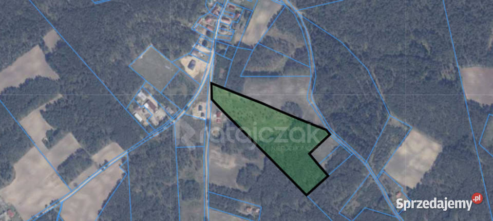 Grunt 42000m2 Przewóz sprzedam