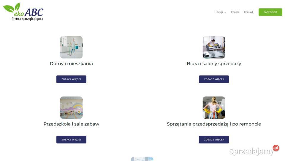 Strony www grafika copywriting pozycjonowanie Roczyny