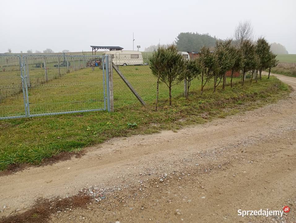 Wynajmę działkę rekreacyjną jeziorze Białym sprzedam