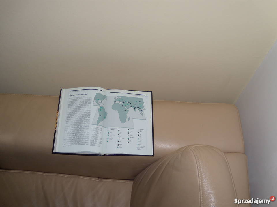 Dusze zwierząt Nicholas J Saunders sprzedam