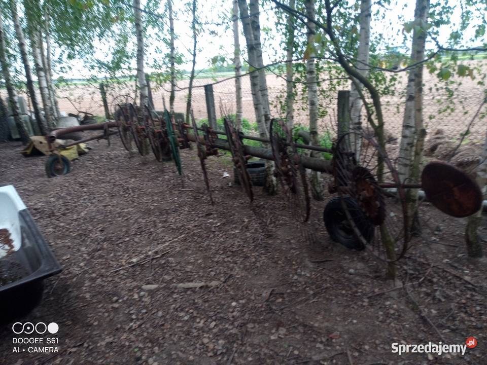 Zagrabiarka Gwiazdowa 8 Duża Trzebieszów Pierwszy sprzedam