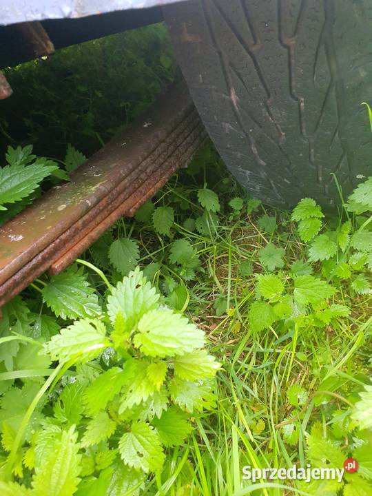 Przyczepka lekka SAM dolnośląskie Mirsk sprzedam