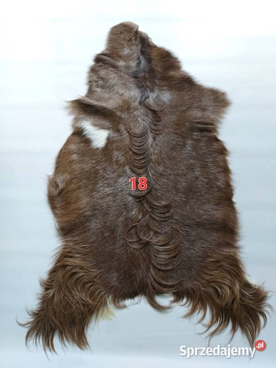 Skóry z Kóz Naturalne Skóry Dekoracyjne Skóra małopolskie