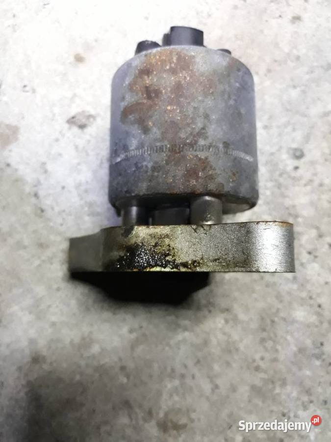 Opel chevrolet egr