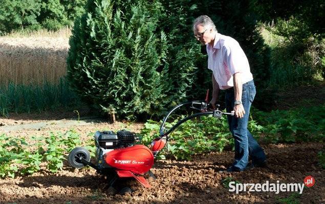 PUBERT ECO 45BC2 GLEBOGRYZARKA SPALINOWA Opalenica