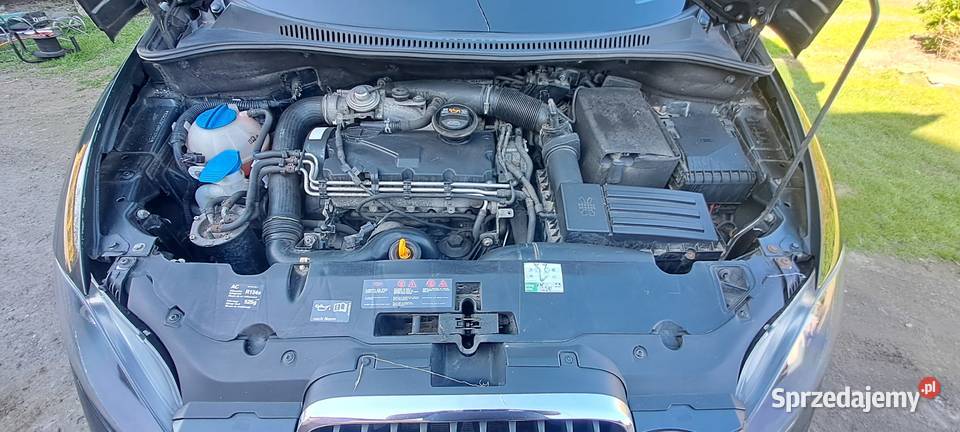 Seat Altea XL 19 TDI 2009 Rok produkcji 2009 Chechło