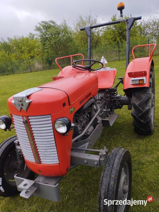 Ciągnik rolniczy Massey Ferguson MF 30 Napęd 2x4 zachodniopomorskie Myślibórz