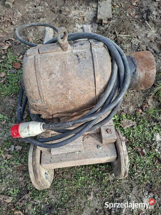 Krajzega cyrkulatka Majdanek