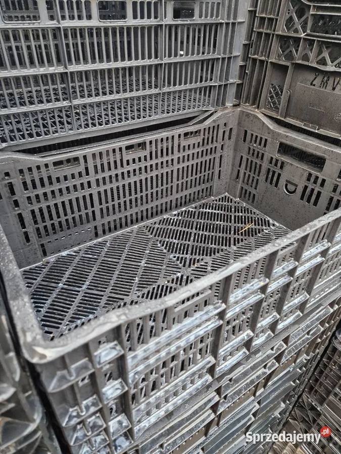 Skrzynka plastikowe Skrzynki i opakowania podkarpackie