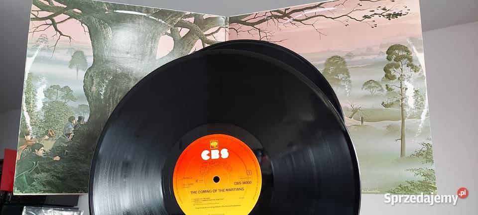 Płyty winylowe NazarethSteely DanSupertrampJeff płyta winylowa Warszawa