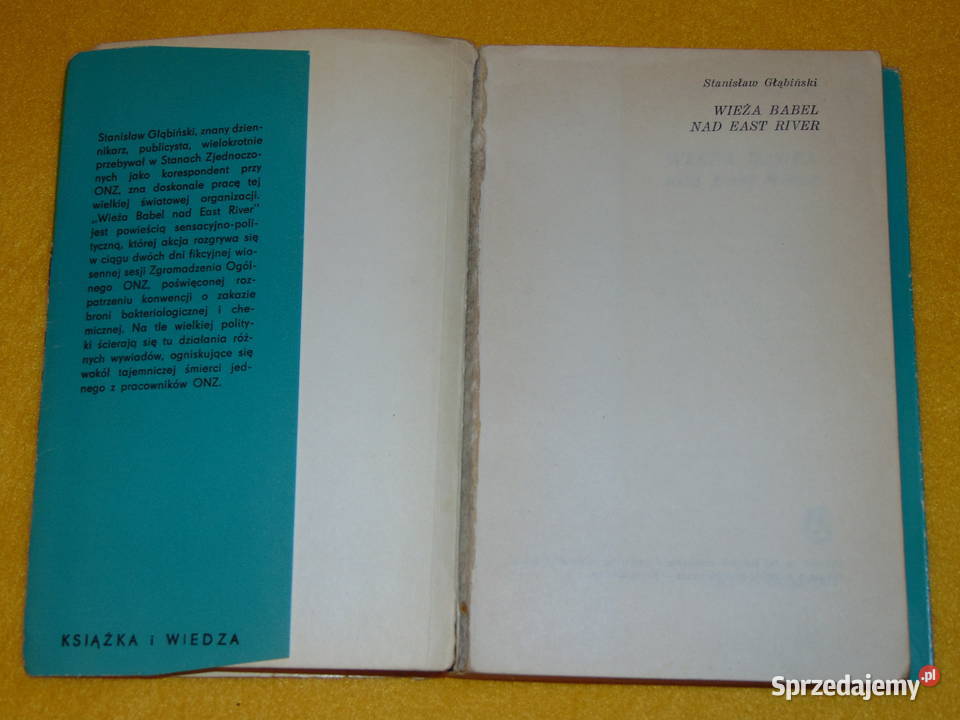Wieża Babel East River Stanisław Głąbiński lubelskie sprzedam