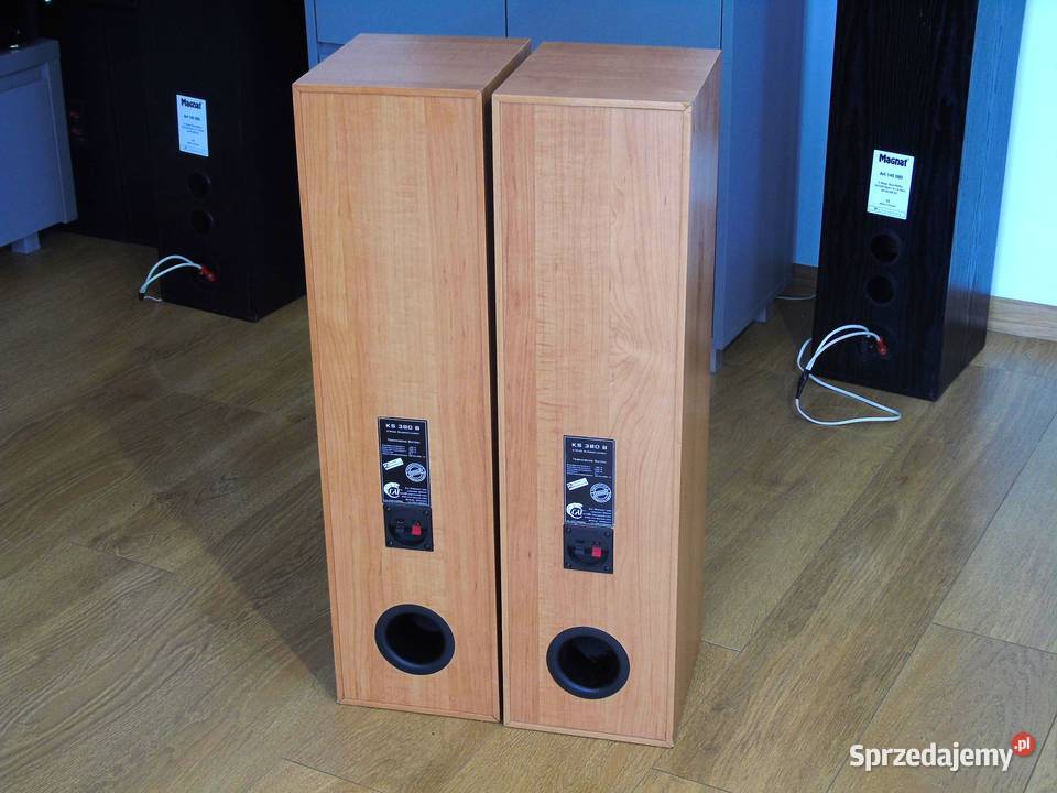 Kolumny Cat 2 x 380 wat ładne DOSTAWA podkarpackie Jasło