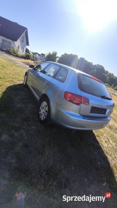 Audi A3 8P Sporback Oleśnica