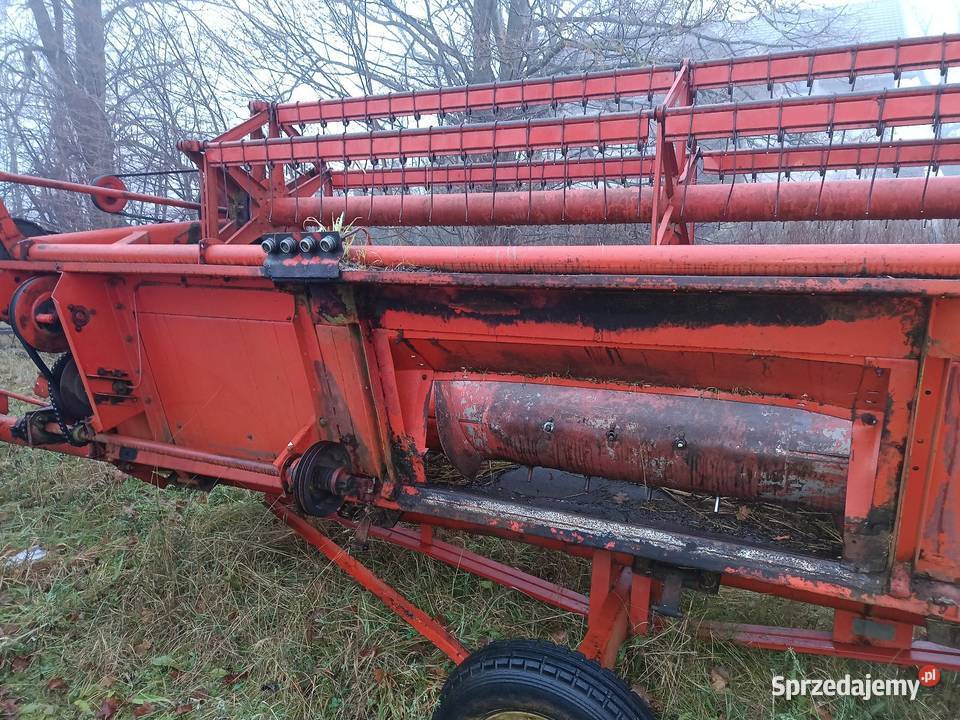 Bizon Z056 Super szuka domu Lubieszyn