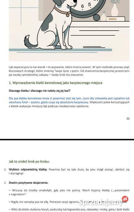 Trudny pies lęk separacyjny niszczenie