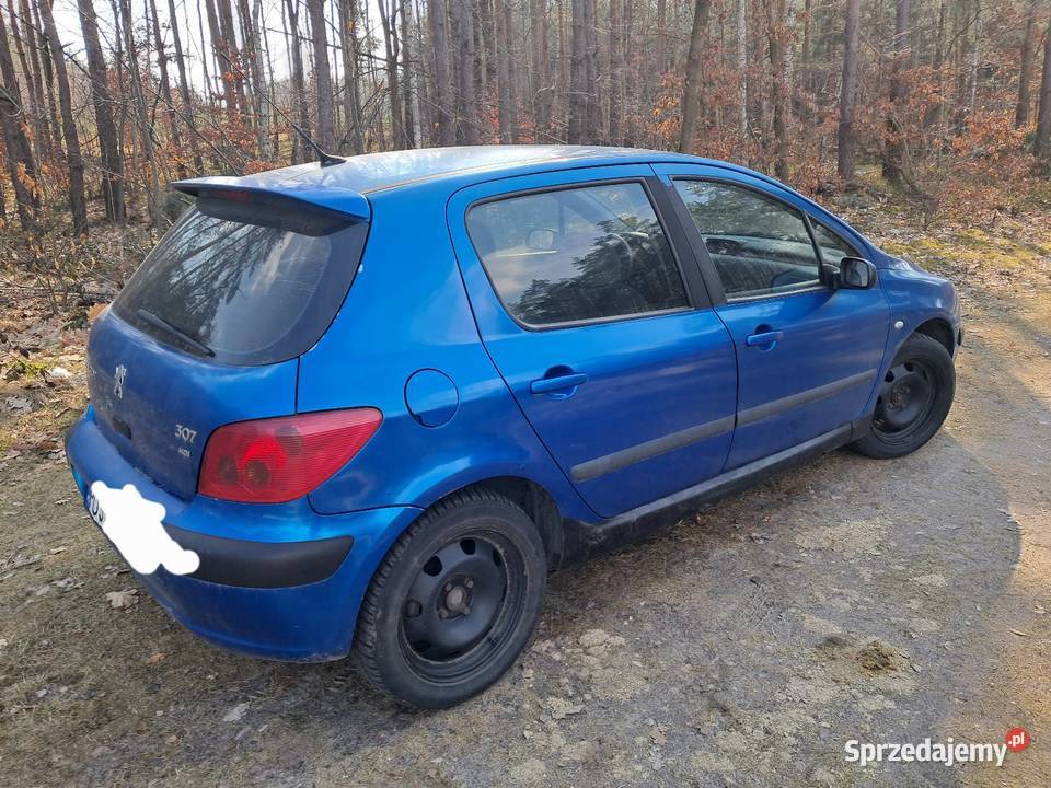 307 20 hdi 307 Krotoszyn sprzedam