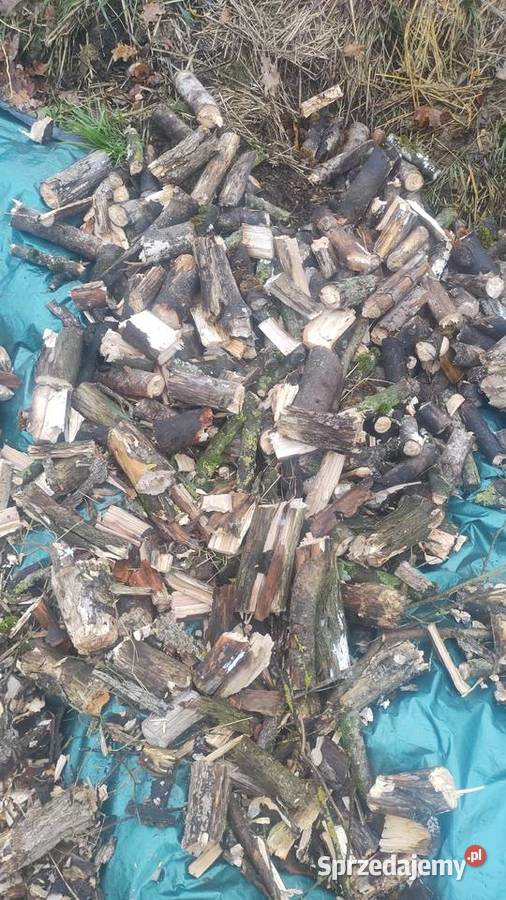 Rębak walcowy r 150 Pozostałe Dubeninki