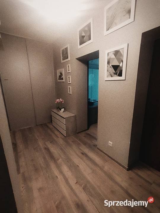 Mieszkanie w centrum Legnicy 2 pokoje 68m2